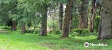 Hogsback Arboretum-霍格贝克