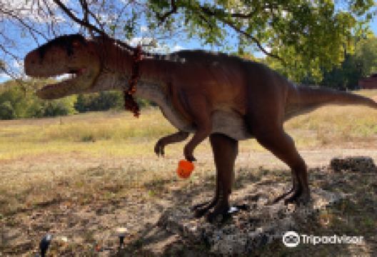 Heard Natural Science Museum & Wildlife Sanctuary景点图片