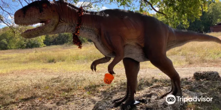 Heard Natural Science Museum & Wildlife Sanctuary