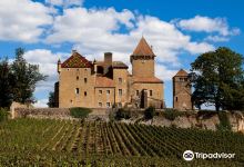 Chateau Historique de Pierreclos景点图片