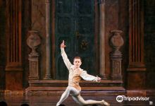Tanzschule La Calidad景点图片