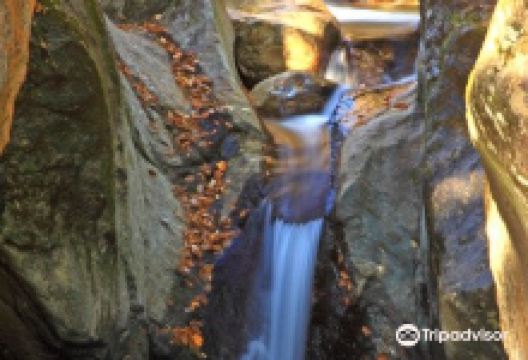 Texas Falls Recreation Area景点图片