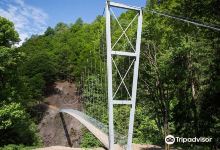 Klosters Suspension Bridge景点图片
