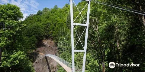 Klosters Suspension Bridge