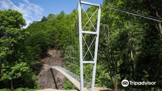 Klosters Suspension Bridge