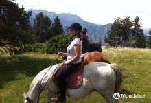 Wild Horse Pirineus Outdoor景点图片