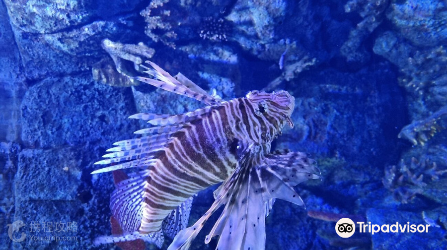 Atlantis Aquarium Madrid
