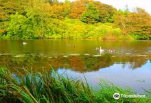 Ardwell Gardens景点图片