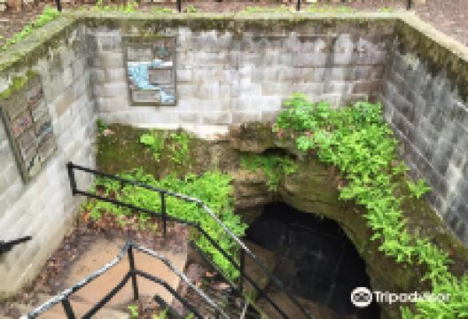 Ledge View Nature Center景点图片