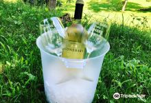 Stone Barn Cellars Winery景点图片