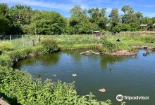 Ferme de la Barbanne景点图片