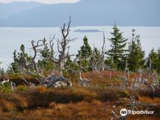 凯恩岛-鲁珀特王子港