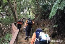 Linkou forest trail 林口森林步道景点图片