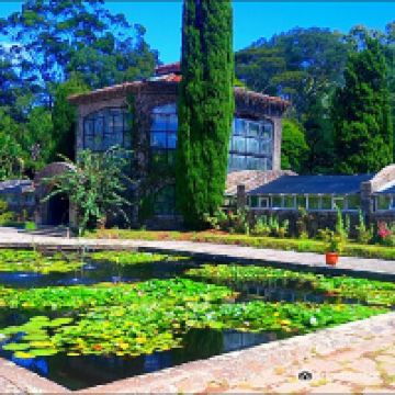 蓬德尔暗黑图片