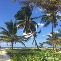 Cayo Levisa图片