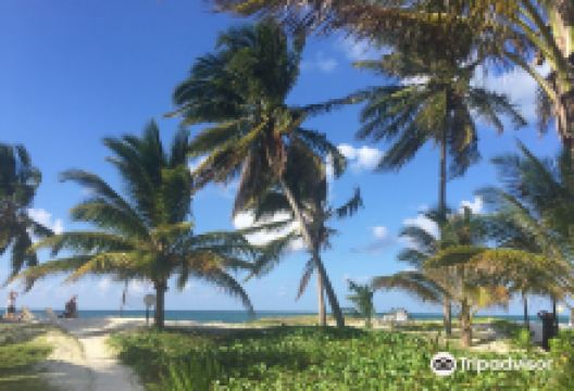 Cayo Levisa景点图片