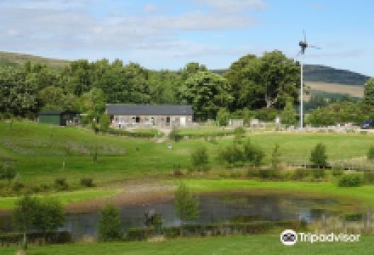 Murton Trust景点图片