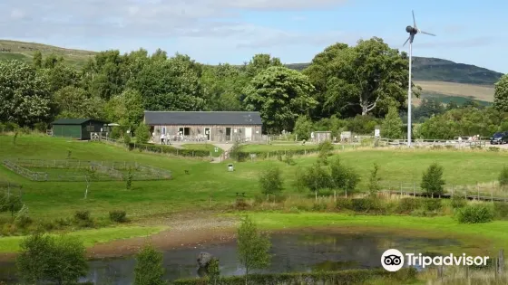 Murton Trust