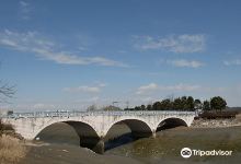 苏莱湿地生态公园景点图片