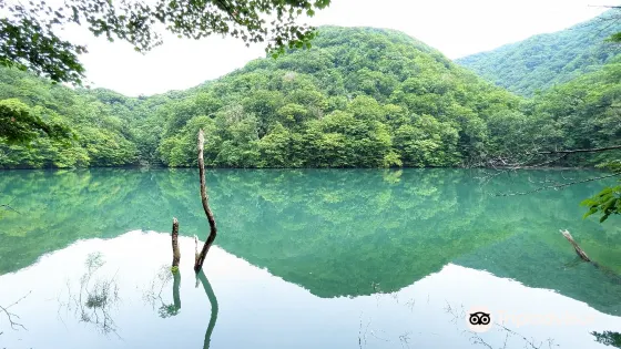 青池