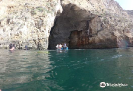 Buddies Dive Cove购物图片