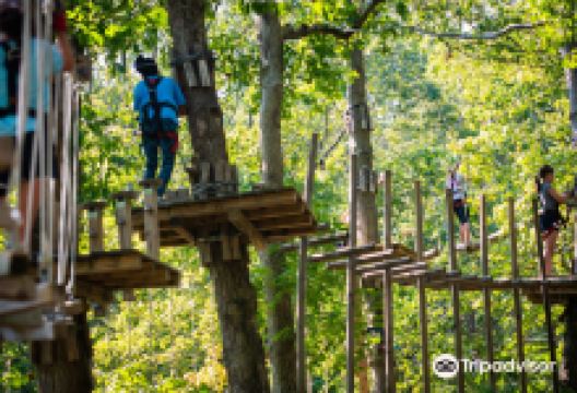 The Adventure Park at Storrs景点图片