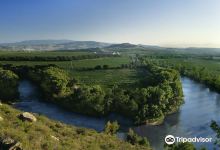 Bodega Finca Valpiedra景点图片