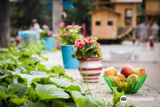 Malenkaya Ferma餐厅图片