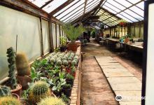 Orto Botanico della Facolta di Agraria景点图片