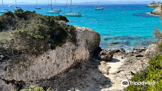Plage de Piantarella