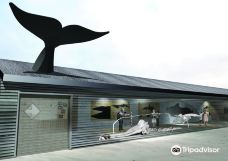 北海博物馆-希茨海尔斯