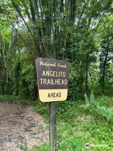 Angelito Trail-Mameyes I