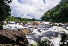 Vazhachal Waterfalls景点图片