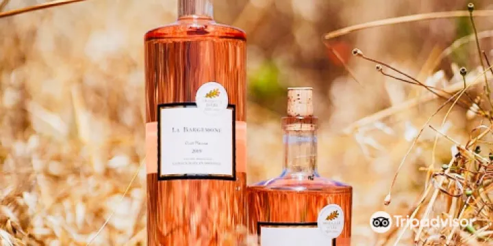 Commanderie de la Bargemone