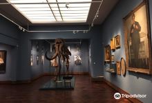 Stedelijk Museum景点图片