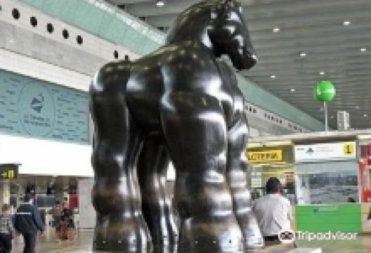 Caballo Negro景点图片