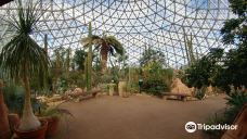 Mitchell Park Horticultural Conservatory (The Domes)-密尔沃基