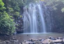 Ellinjaa Falls景点图片