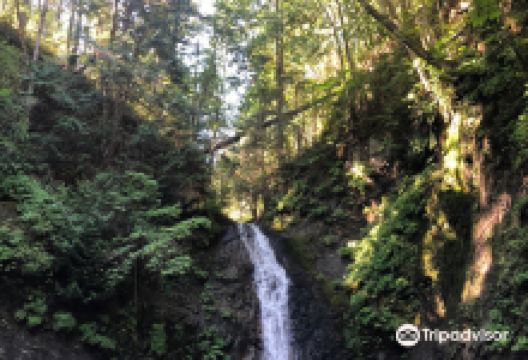 Holland Creek Trail景点图片