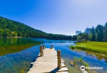 Lac de Balcère景点图片