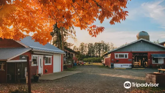 Little Qualicum Cheeseworks