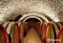 Giuseppe Campagnola Winery景点图片