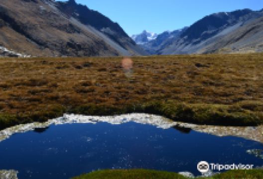 Cordillera Real景点图片