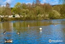 Etherow Country Park景点图片