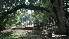 St. John's Historic Cemetery-蒂博多
