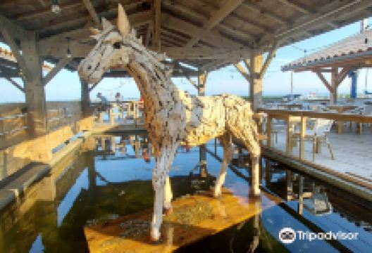 Port Ostréicole景点图片