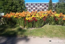 Square Lechten景点图片