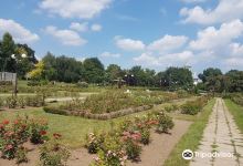 Science Museum and Botanical Garden景点图片