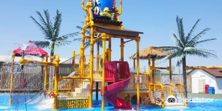 非洲獅野生動物園