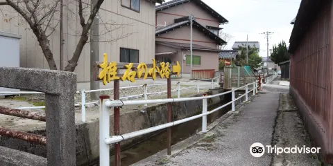 Shiina No Koji